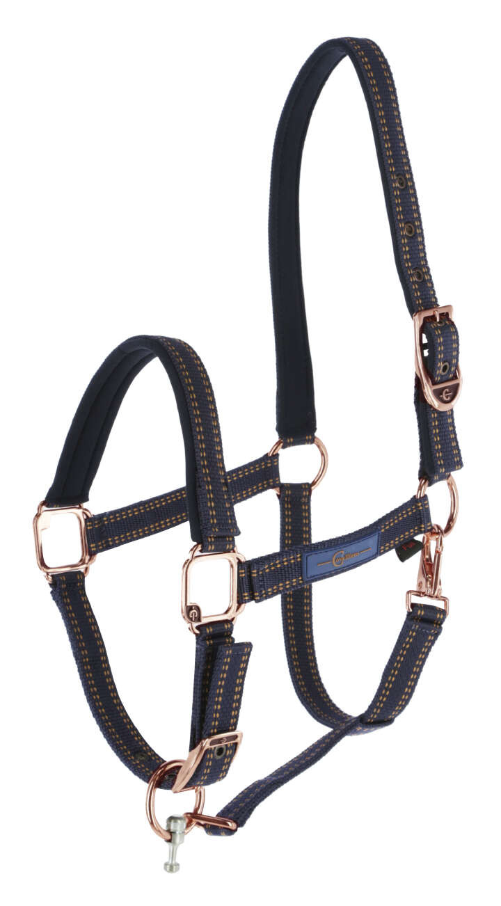 GOLEYGO Pferdehalfter für Goleygo-System, blau/caramel